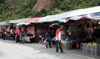 Restructuring needed at popular Cameron Highlands tourist spot to solve traffic woes