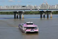 Seoul to halt water bus services, switch to trial runs before reopening