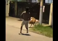 SAFM urges probe into brutal killing of pet dog in Ipoh