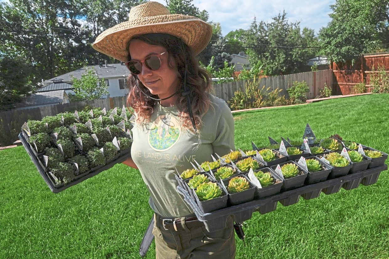 Eryn Murphy carrying native plants to plant in her garden.