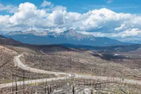 Lessons from the ashes 