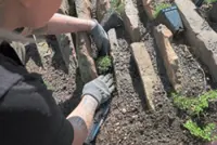 Love for green lawns in the US fades as low-water landscaping grows