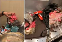 Video of diners attempting to take home raw ingredients from Hong Kong hotpot restaurant goes viral