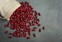 QuickCheck: Can red kidney beans be toxic?