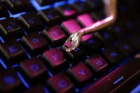 UK watchdog recommends new post-Brexit framework for tech licensing rules