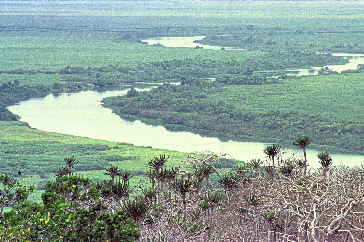 The Kwanza river runs through the Quicama National Park in Angola. (AP Photo/Armando Franca, File)
