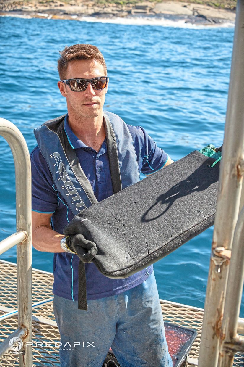 Prof Huveneers with a standard neoprene testing board which had been bitten by a shark.