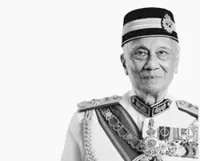 Ex-defence forces chief Mohamed Hashim passes away