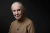World-renowned chimpanzee expert Jane Goodall dies at 91