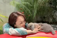 Actress Fann Wong mourns death of family’s pet rabbit