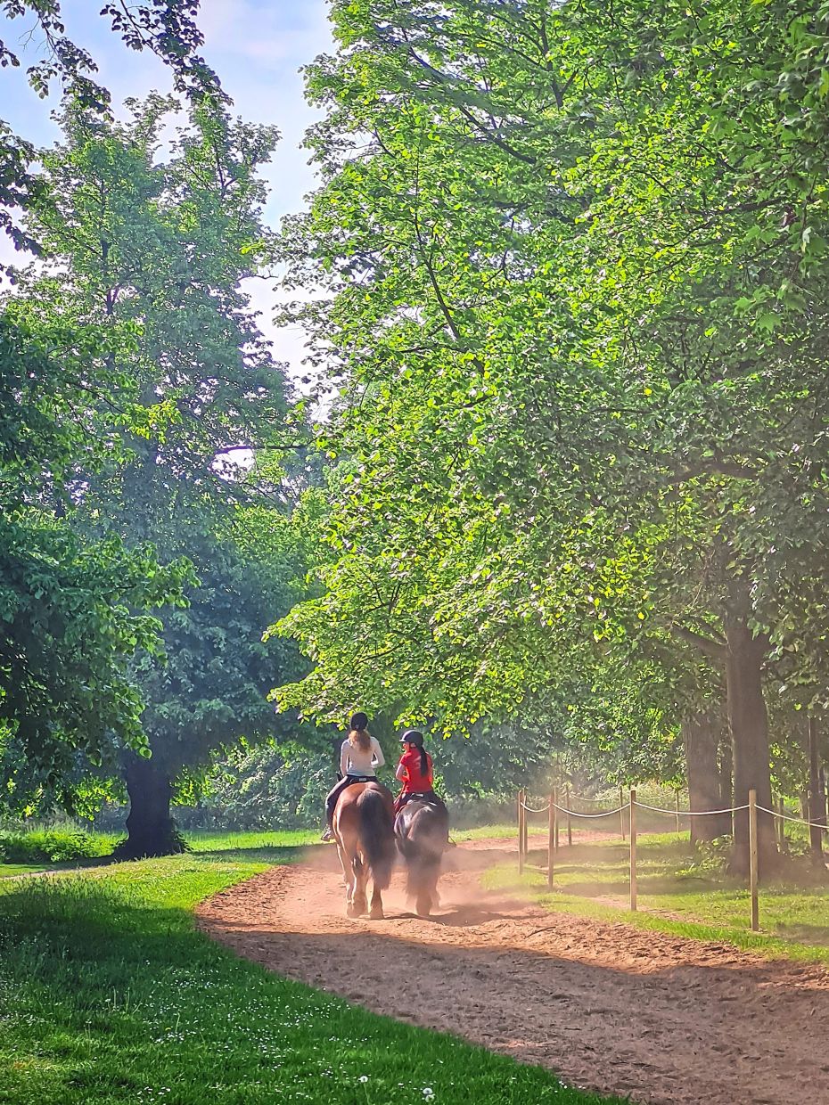 In the mornings, Hyde Park experiences a minor rush hour on horseback.