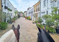 Through fluffy horse ears, London unfolds