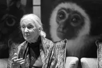 An inspiration to everyone