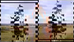 With Sora 2 app, OpenAI lets you put your face in AI-generated videos