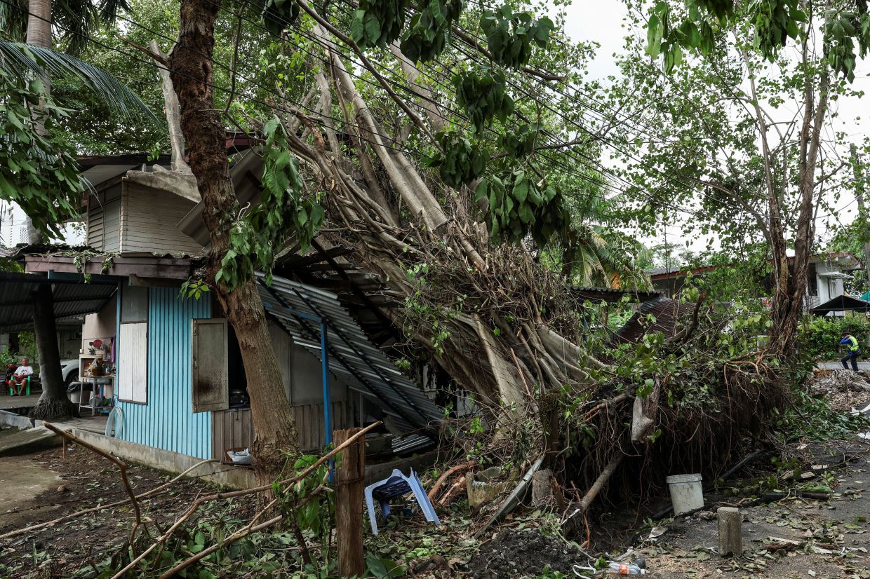 A fallen tree sits atop a house following heavy rain and strong winds in Bangkok, Thailand. -- Photo: REUTERS/Chalinee Thirasupa