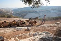 Vanishing land of the Bedouins