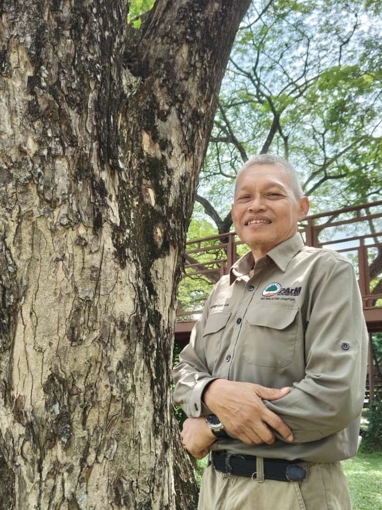 Of tech and arboriculture: How digital tools are revolutionising tree maintenance in Malaysian cities 1 For arborists like Mohd Zailani, any tech-driven measures that could ease some aspects of his role is welcomed. — ANGELIN YEOH/The Star