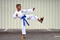 Karate kid nails Book of Records feat