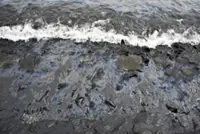 Microbes in Singapore coastline offer natural alternative to clean up oil spills, say researchers