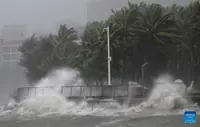 Typhoon Matmo makes landfall in China's Guangdong