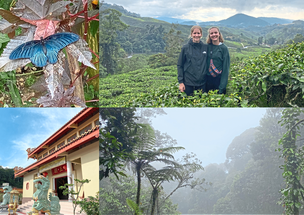 Eisenring includes a photo of herself (top right corner picture, left) with her friend Rebecca in her custom postcard. — LIVIA EISENRING
