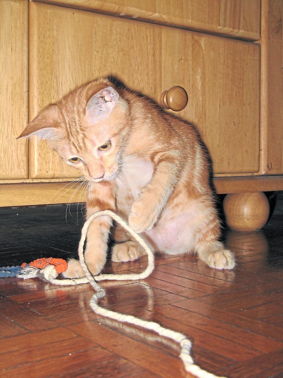 He makes time for fun every day.