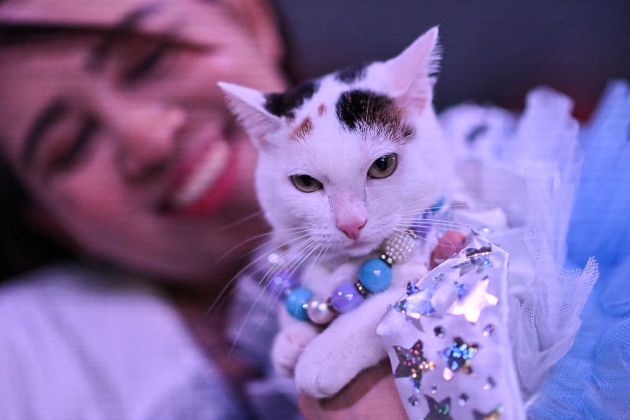 A woman holds her pet cat during the pet blessing ceremony, a day after World Animal Day, at a mall in Quezon City, Metro Manila, Philippines. -- Photo: REUTERS/Noel Celis