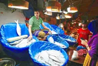 Bangladesh deploys warships to protect prized hilsa fish