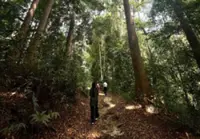 Research and passion the root of FRIM’s success