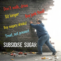 Who has power over obesity?