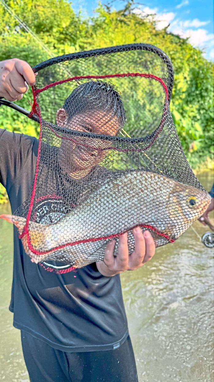 A triumphant smile with a prized lampam, the jewel of Malaysian fly-fishing.