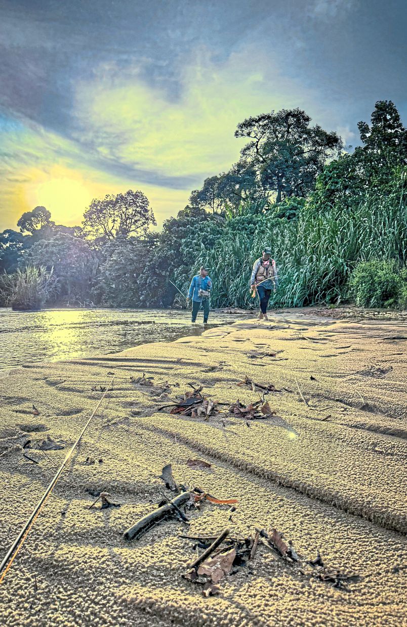 In their search for holding pools, fly fishers move quietly along the sandy shallows.