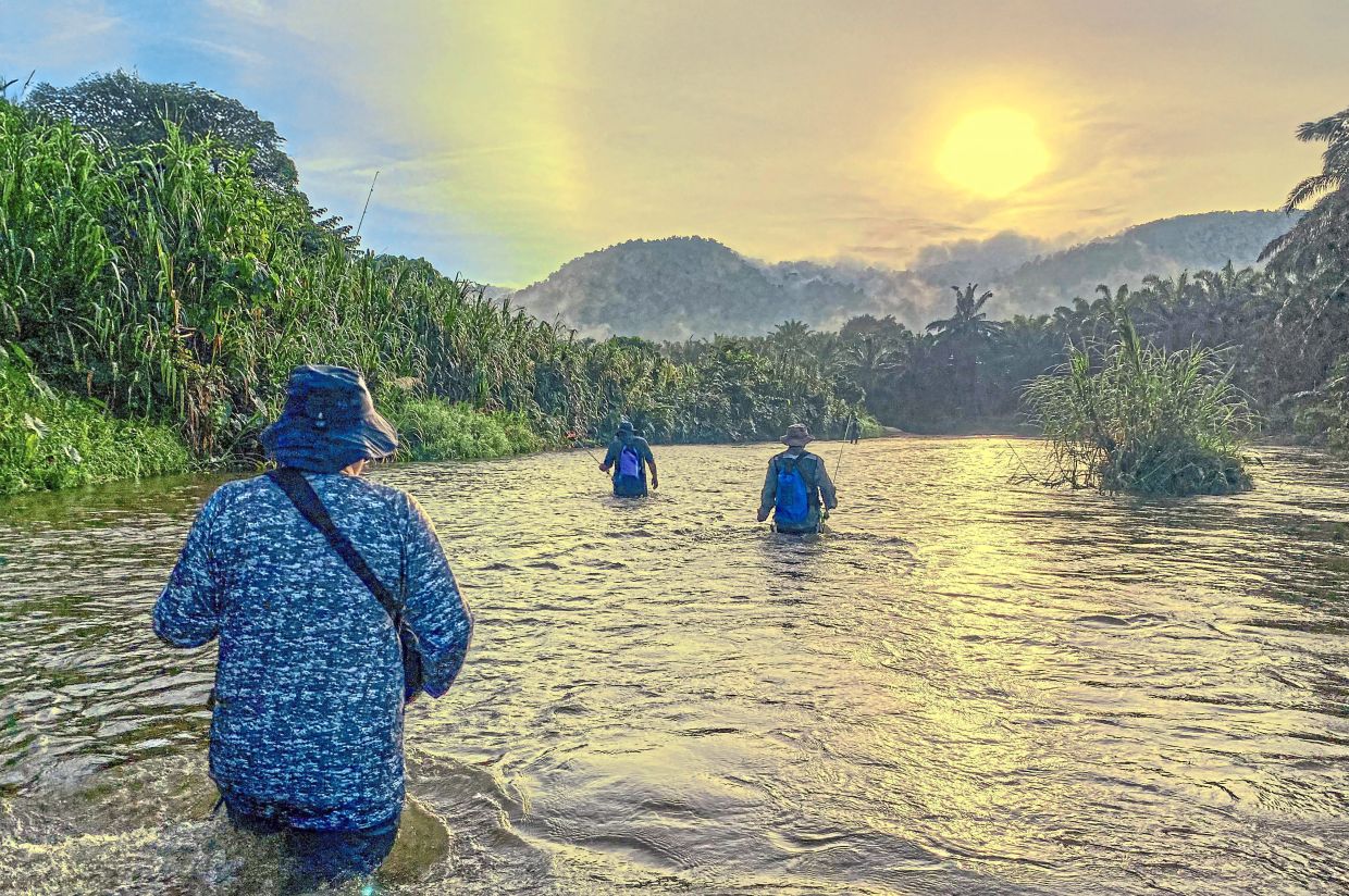 Anglers wading waist-deep into the current to chase the lampang.