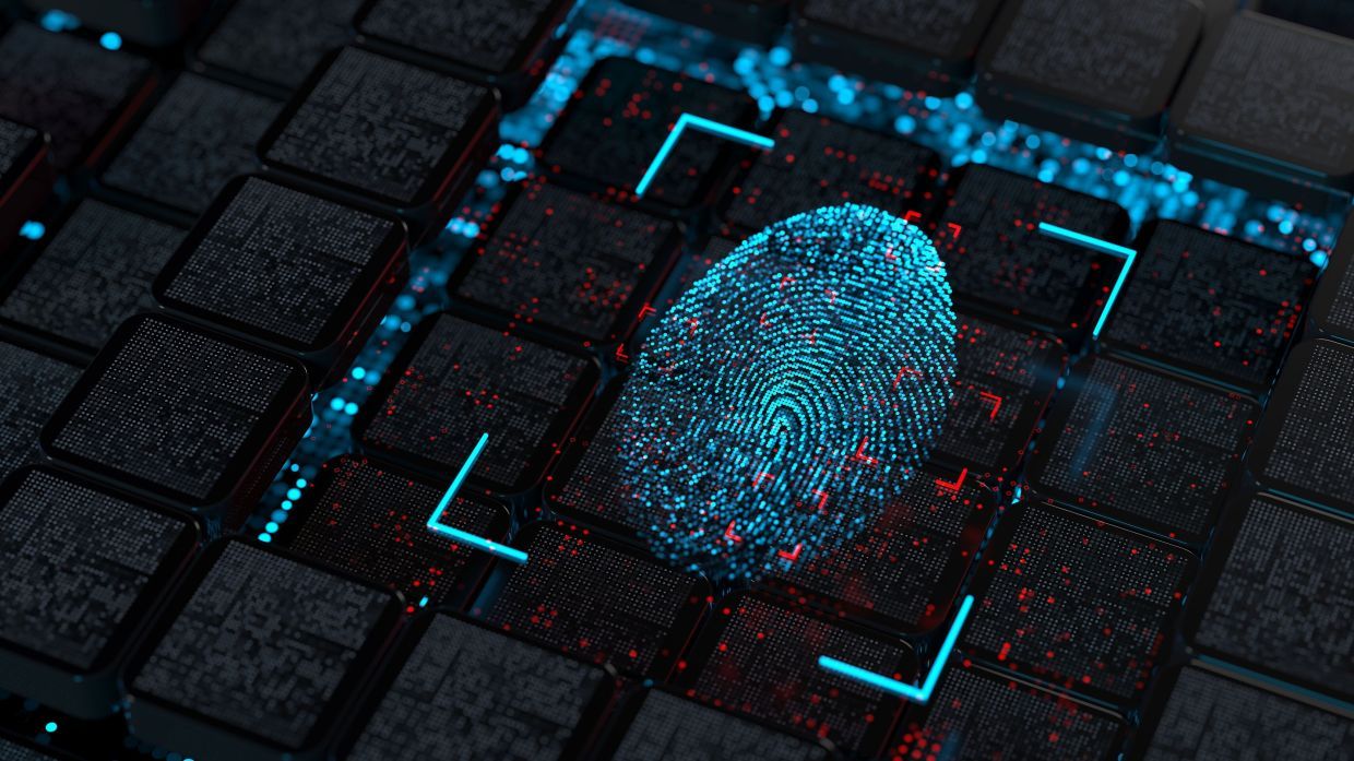 Streamlined Foreign Digital Identity for foreign visitors to be introduced, says Home Ministry 1 3559526