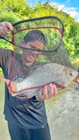 Star of the Kampar River: The humble lampan fish makes a global mark