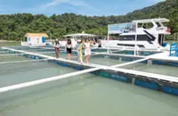 Bigger allocation for Penang