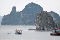 Agencies accelerate land clearance for power plants