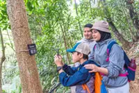 FOREST BATHING IN THE CITY