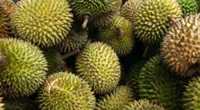 Over RM6bil worth of durian exported to China over seven years