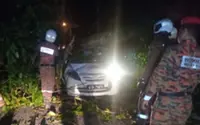 Man dies after tree crushes car near Kuala Pilah