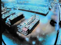 Bear injures two in Japan supermarket, man killed in separate attack