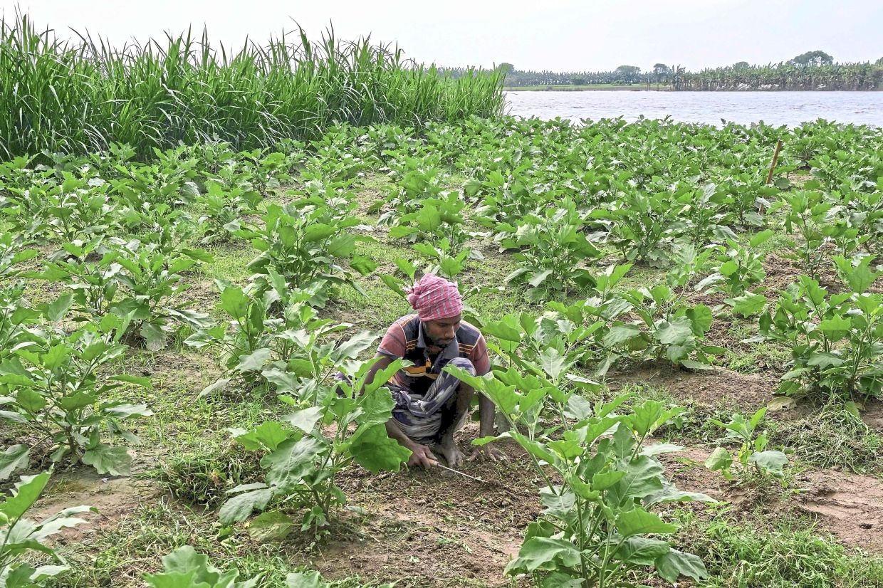 Causing farmers to fear working in their fields. — AP