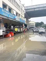 Stagnant water frustrates Damansara Perdana folk