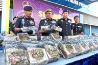 Duo dump 385kg of drugs and flee