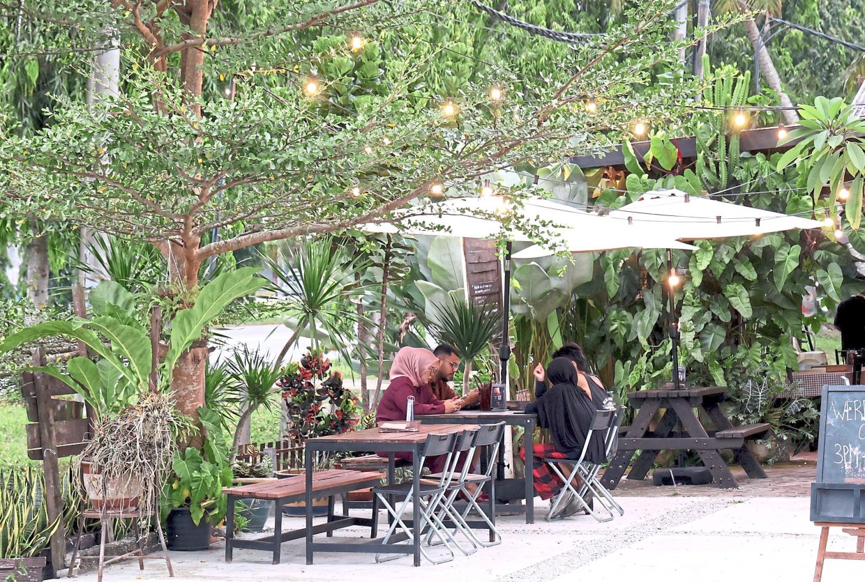 Can be enjoyed in a refreshing setting under the trees (above) in Sungai Pelek.