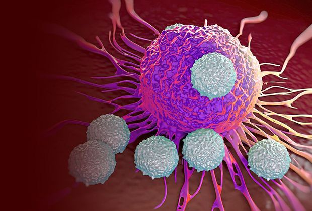 Influenza-like illnesses: Education Ministry strengthens measures to curb spread in schools 1 3563235