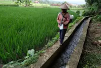 Indonesia prioritises water infrastructure to bolster food security, sustainability