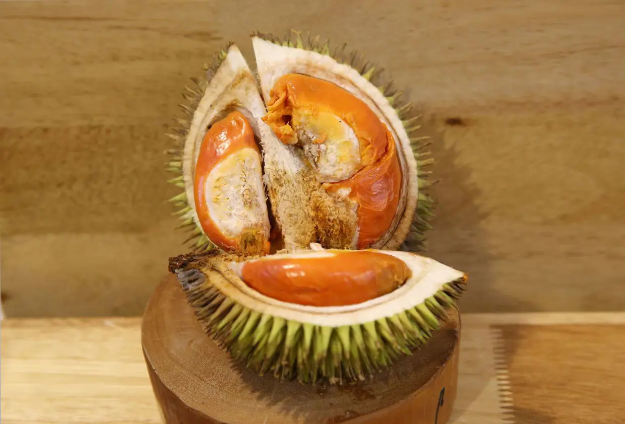 Durian freedom' in China's new Silk Road | The Star