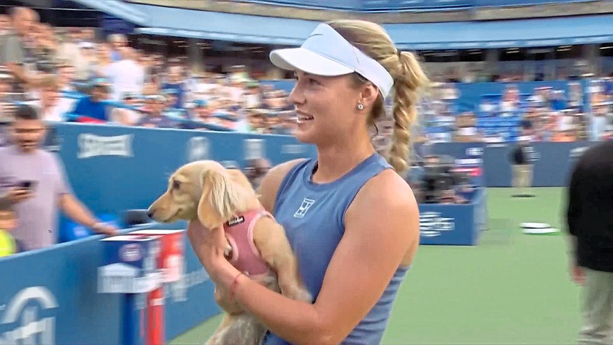 Anna Kalinskaya’s mini dachshund, Bella, can be spotted relaxing in the players’ lounge.