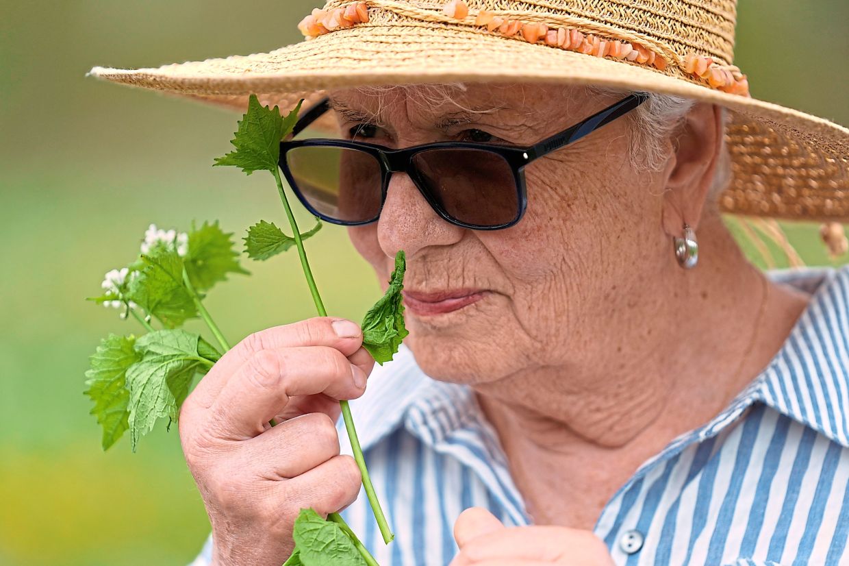 Nelda Quigley smells a plant during a foraging class.
